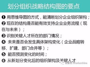 构建未来领袖，探索少先队组织的人才培养与战略规划