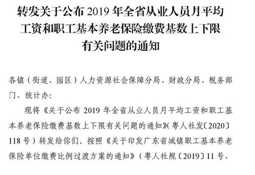 全面解析，石家庄养老保险政策与人力资源管理实践