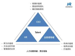 引领未来，构建卓越的企业管理团队战略与实践