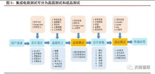 引领未来，驱动成长——上海社保局人才管理策略深度解析