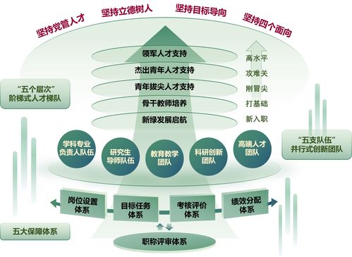 引领未来，驱动成长——上海社保局人才管理策略深度解析