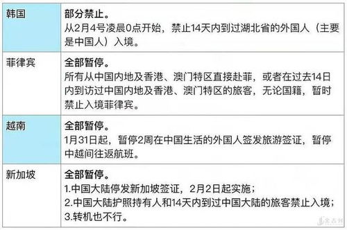 详解社保滞纳金计算规则，理解与应对策略