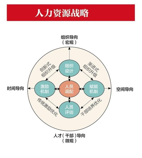 优化人力资源策略，企业退休人员养老金调整政策的深度解析与实施计划