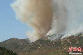 泰山陪爬火了，探索人与自然和谐共生的新境界