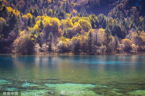 全国赏秋地图出炉，探寻五彩斑斓的秋色盛宴