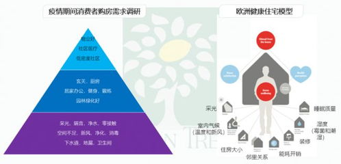 引领未来健康，深度解析如何高效学习小儿推拿技术