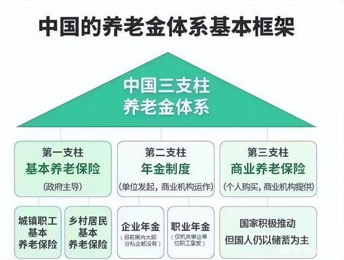 深度解析与实践，社会养老保险条例——构建未来保障网的关键指南