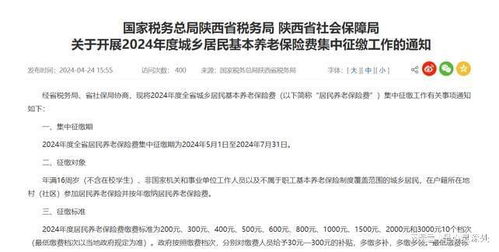 深度解析与实践，社会养老保险条例——构建未来保障网的关键指南