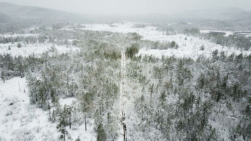 赏秋之变，内蒙古观雪之旅