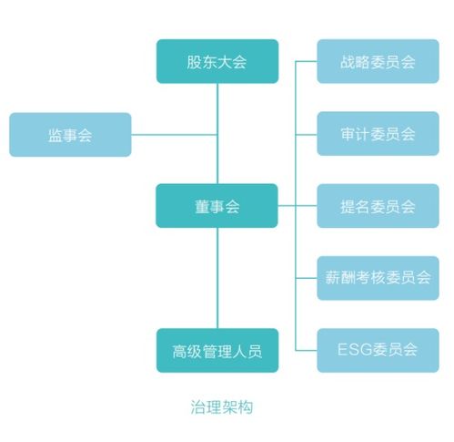 引领商业未来，深度解析B2B模式的网站构建与人力资源管理策略