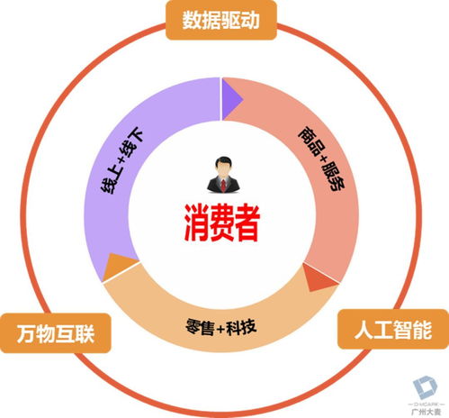 引领商业未来，深度解析B2B模式的网站构建与人力资源管理策略