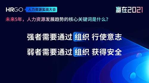 引领全球视野，塑造卓越未来，深入解析雅思考试——作为HR的全方位视角