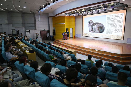 引领未来，筑梦沈化——探索沈阳化工大学的人才魅力与校园风采