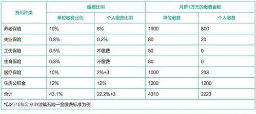 全面理解，五险一金——员工福利保障与职业生涯规划的关键环节