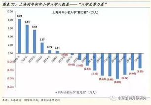 深度解析，探秘圆梦教育，塑造未来教育新力量