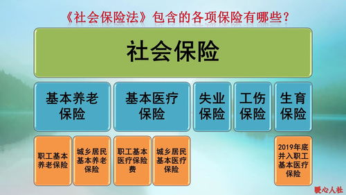 深度解析，农村养老保险缴纳年限与领取政策全指南