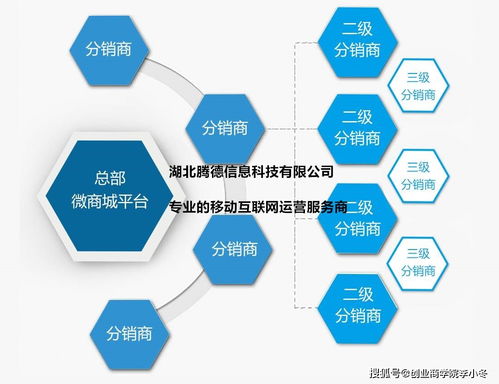 引领未来销售风向构建卓越经销商管理模式，打造高效供应链网络