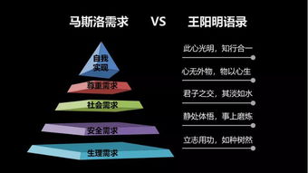 HR视角解读，人才管理的智慧急转弯——解锁职场智慧与团队建设新策略