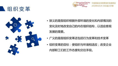 HR视角解读，人才管理的智慧急转弯——解锁职场智慧与团队建设新策略