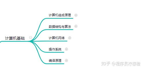 探索健身教练的摇篮，如何在多元化的学习路径中找到你的专业之路