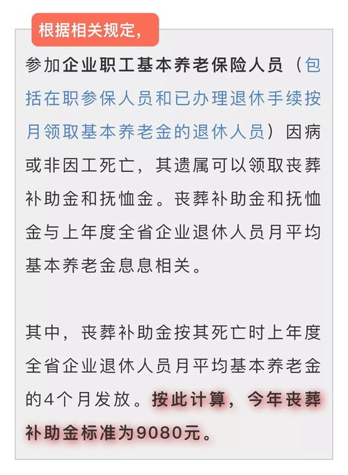 详尽解析，养老保险费用计算全攻略——揭秘个人与企业缴纳的全貌