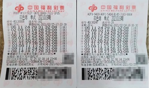 深圳彩民80元中双色球2.25亿，彩票背后的故事与启示