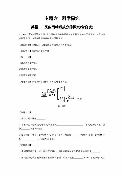 构建未来科学家，探索初中化学方程式的世界——培养全面理解与应用能力的HR策略