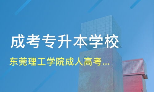 跨越知识阶梯，中山大学成人高考，点亮你的求知之路