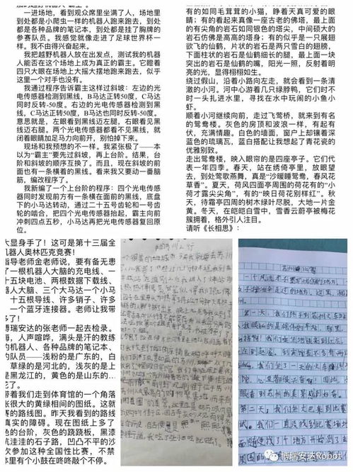 赋能未来，砥砺前行——优秀人才党员转正申请书