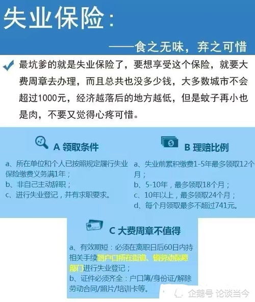 理解养老保险等级，一份全面指南，你的未来保障蓝图