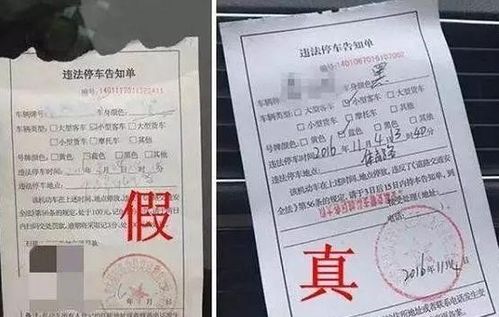 无证驾驶遇罚单，男子辱警行为引深思