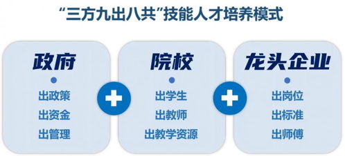 深度解析四川人力资源和社会保障网，打造全方位人才服务生态系统的探索