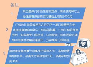 守护健康，全面了解你的医疗保险条例，一份实用指南