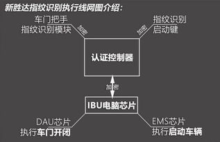 大数据揭秘，解锁未来科技的钥匙——深度解析你的学习路线