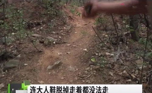 大爷上山摘酸枣走失114天，遗体终被找到，户外安全的警示