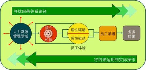 推动员工职业化，提升组织效能与个人价值的策略指南