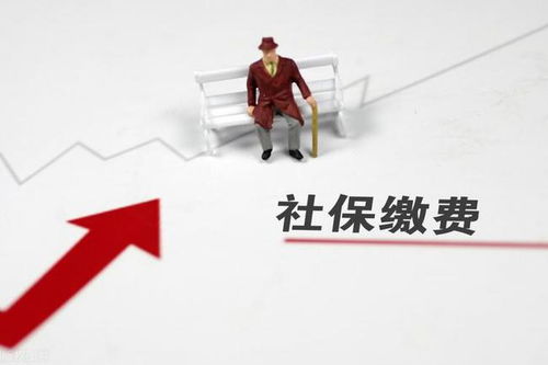 深度解析，社保缴费年限——人力资源管理中的关键指标与价值评估