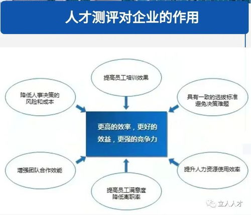 引领创新，赋能发展——山东地税人才管理策略与申报流程解析