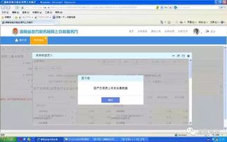一键通税路，湖南地税网上申报，你的便捷税务生活新指南