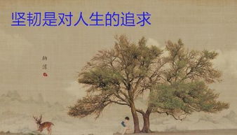 三过家门而不入，探寻禹的坚韧与智慧——一窥古代治水英雄的无私奉献精神