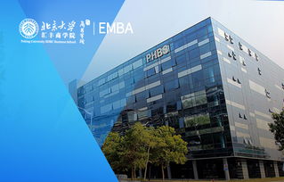 驾驭未来，探索上海MBA培训的黄金之旅——你的商业加速器