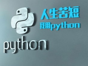 Python自学之旅，挑战与收获并存，你的编程新世界正在打开！