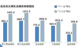 深度解析，构建健全的养老保险制度以保障员工福祉与企业稳定