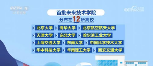 引领未来安全守护者，北京安全员考试深度解析与人才培养策略